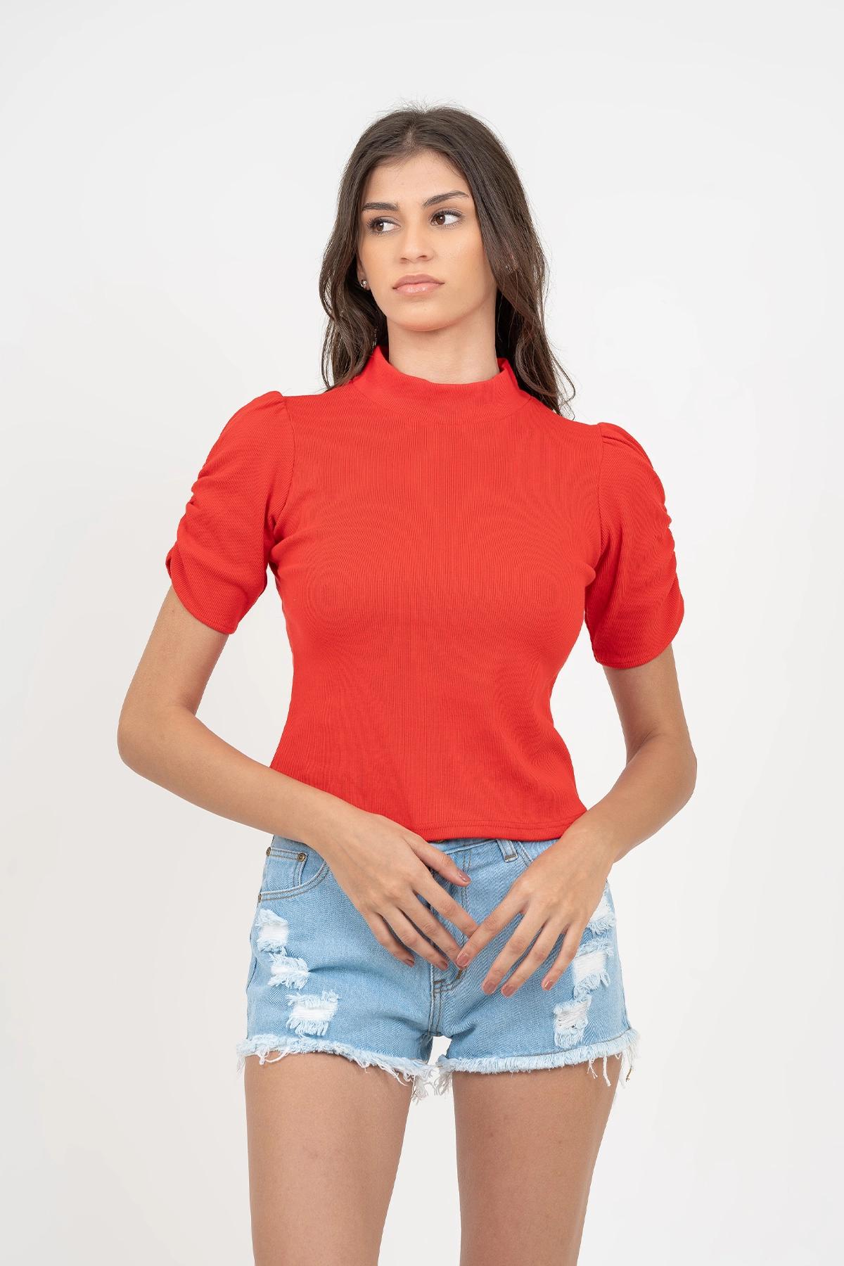 short-sleeve-turtleneck-top
